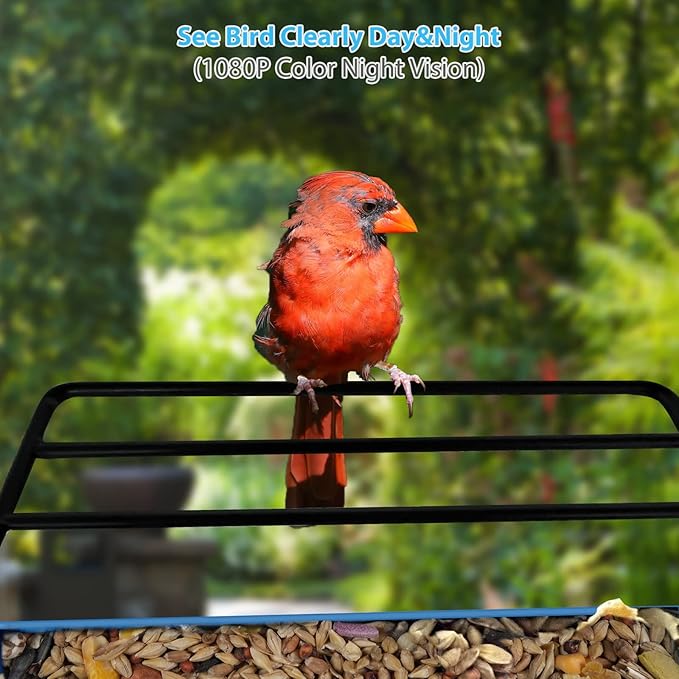 Smart Bird Feeder with Camera.Auto Capture Birds Videos & Bird Motion Detection,Wireless App Notification,Birdhouse Camera,Lifetime 32G Free Space.Idea Gift