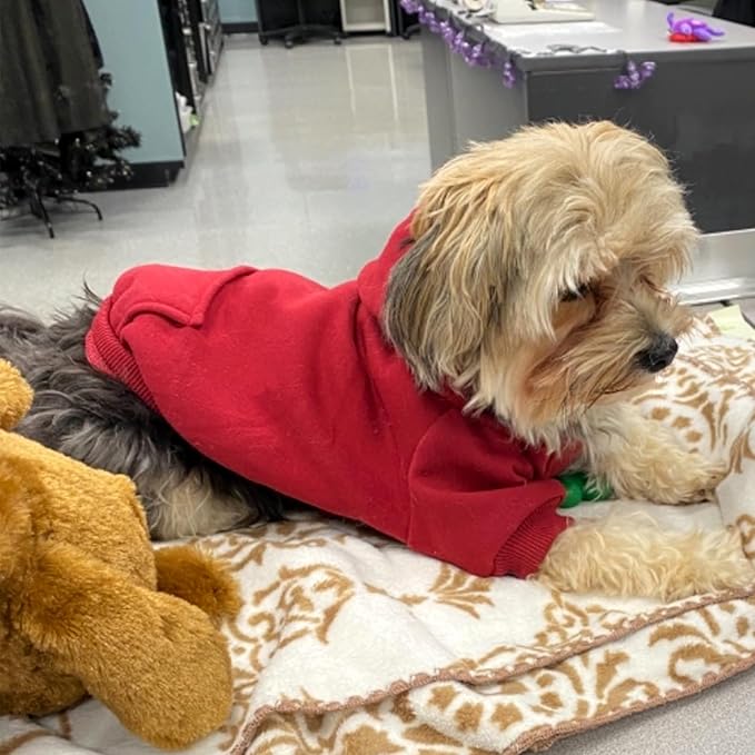 Jecikelon Winter Dog Hoodie Sweatshirts with Pockets Warm Dog Clothes for Small Dogs Chihuahua Coat Clothing Puppy Cat Custume (Wine red, X-Large)