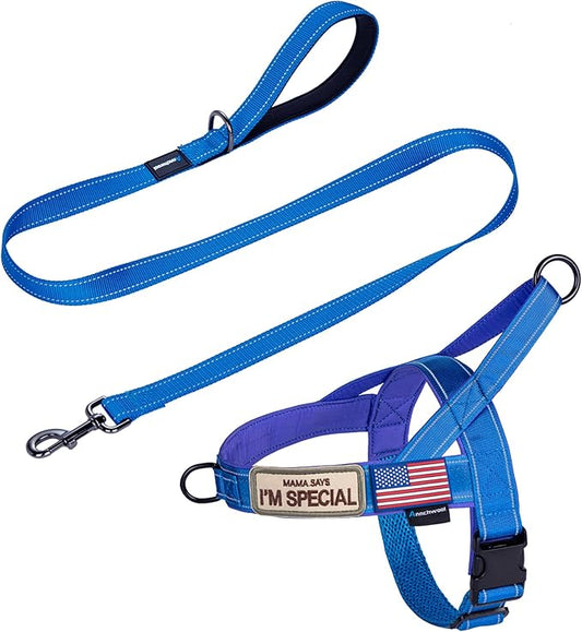 Annchwool No Pull Dog Harness with Padded Handle+5 Ft Leash,Reflective Strip Escape Proof and Quick Fit to Adjust Dog Harness,Easy for Training Walking for Small & Medium and Large Dogs(Blue-Set,S)