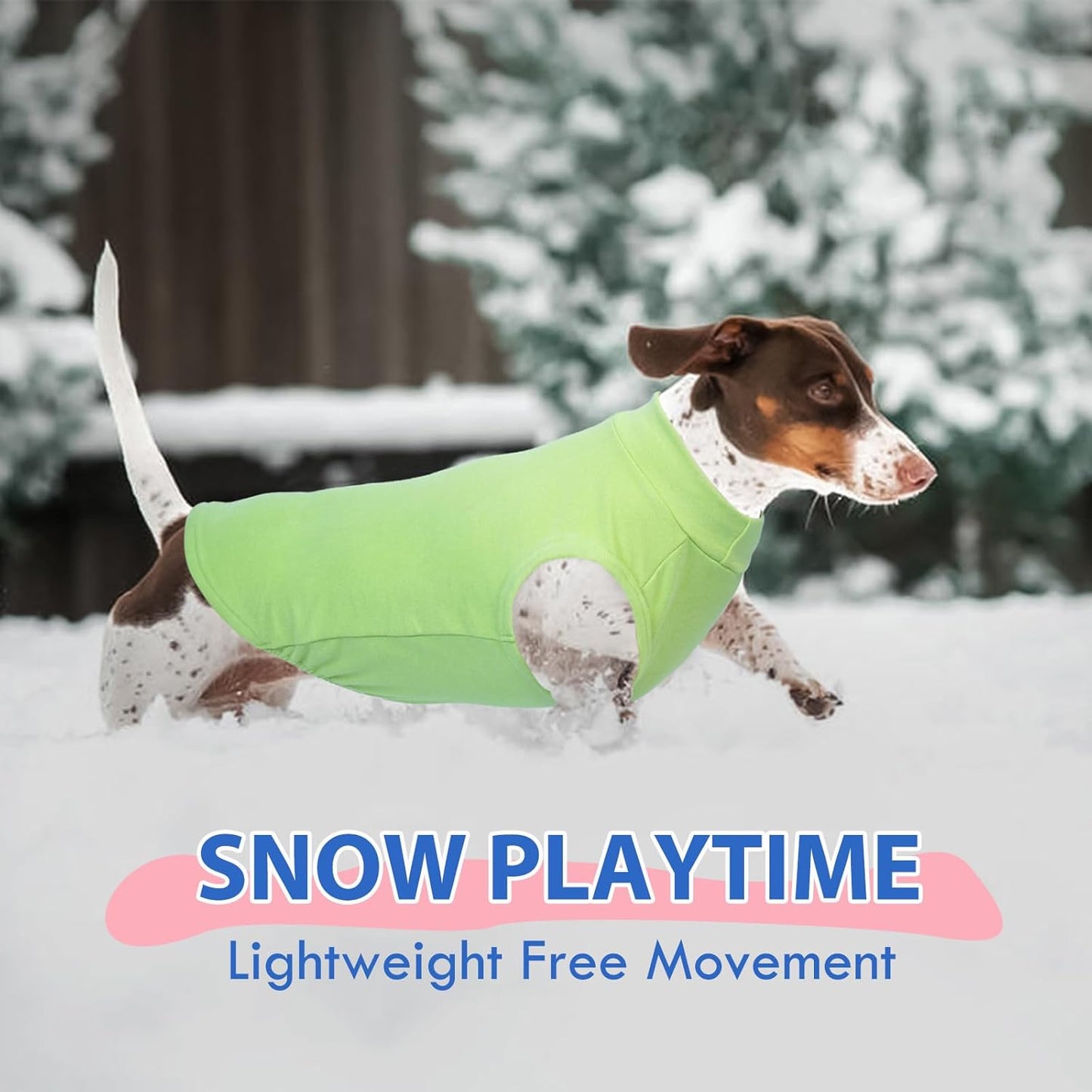 Dog Sweater Fleece Vest - Green, XS - Stretchable Sleeveless | Warm Lightweight Sweatershirt, Pullover Design for Puppy,Chihuahua Clothes,Winter Warm Pet Shirt