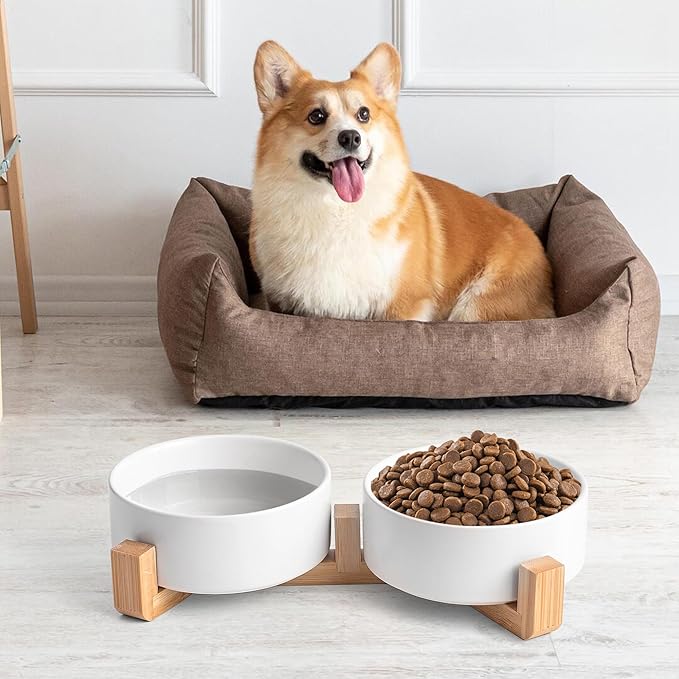 White Ceramic Dog & Cat Bowl Set – 13.5 OZ with Wooden Stand, Non-Slip, Elevated Design for Small Dogs & Cats – 2 Bowls (Food & Water, Ceramic Pet Bowls, Modern Dog Bowls)
