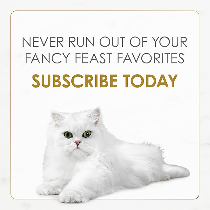 Purina Fancy Feast Gravy Lovers Beef Feast Grilled Gourmet Cat Food in Wet Cat Food Gravy - (Pack of 24) 3 oz. Cans