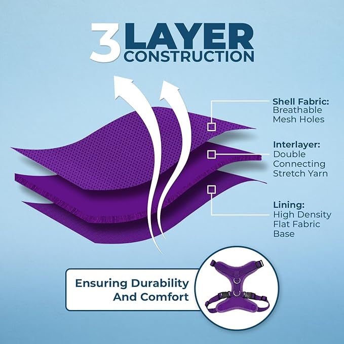 Voyager Step-in Lock Adjustable Cat Harness w. Cat Leash Combo Set with Neoprene Handle 5ft - Supports Small, Medium and Large Breed Cats by Best Pet Supplies - Purple, S