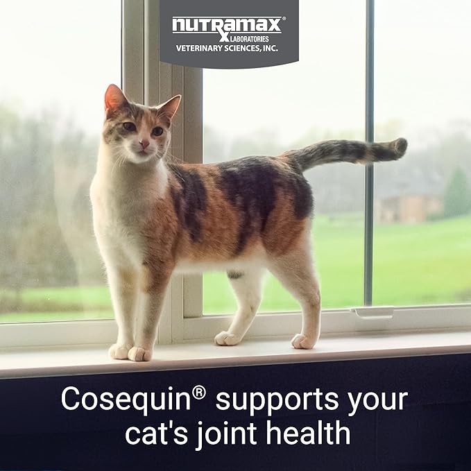Nutramax Cosequin 80 Sprinkle Capsules for Cats