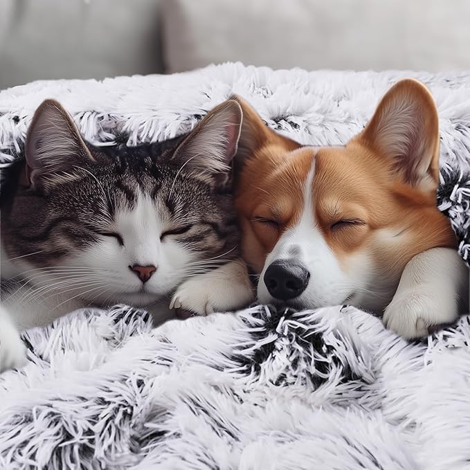 Luciphia Large Waterproof Dog Blanket for Pet Washable Liquid Proof Bed Intimacy Protection Shaggy Plush Calming Long Faux Fur Couch Cover Calming Cat Throw Blankets, Mist Grey, 60" x 80"