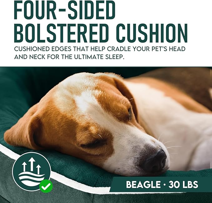 OhGeni Orthopedic Dog Couch Pet Sofa Large Sized Cat Beds with Comfort Foam Support, Soft Comfortable Fabric, Machine Washable Waterproof Removable Cover, 35-Inch (Dark Green)