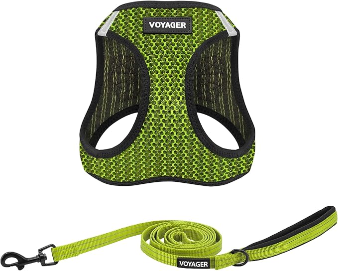 Voyager Step-in Air All Weather Mesh Harness and Reflective Dog 5 ft Leash Combo with Neoprene Handle, for Small, Medium and Large Breed Puppies by Best Pet Supplies - Lime Green (2-Tone), S