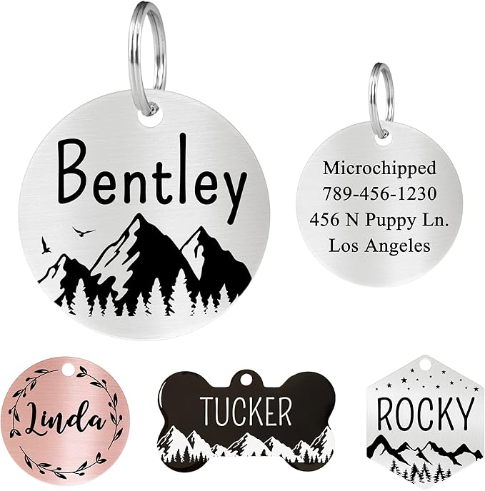 Ultra Joys Stainless Steel Pet ID Tag - Personalized Front and Back Engraving, Customized Dog and Cat Tags, Optional Engraved on Both Sides, Round Mountain on Bottom, Silver Large