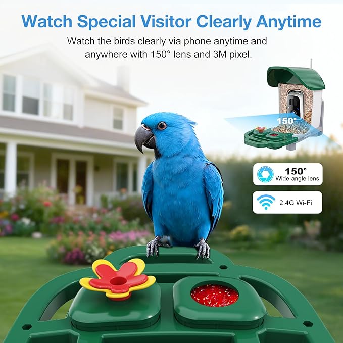 Smart Bird Feeder with 3MP HD Camera & AI Identify, Hummingbird Feeder with Solar Panel, Supports Two-Way Audio, Instant Arrival Alerts, Birdhouses for Outdoors, Gifts for Bird Lovers, Green