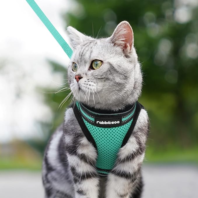 rabbitgoo Cat Harness and Leash Set for Walking Escape Proof, Adjustable Soft Kittens Vest with Reflective Strip for Cats, Comfortable Outdoor Vest,Green,L