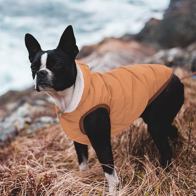 Windproof Waterproof Dog Coat Fleece & Cotton Lined Warm Jacket, Cold Weather Pet Apparel Clothes Vest for Small Medium Large Dog Khaki, XL