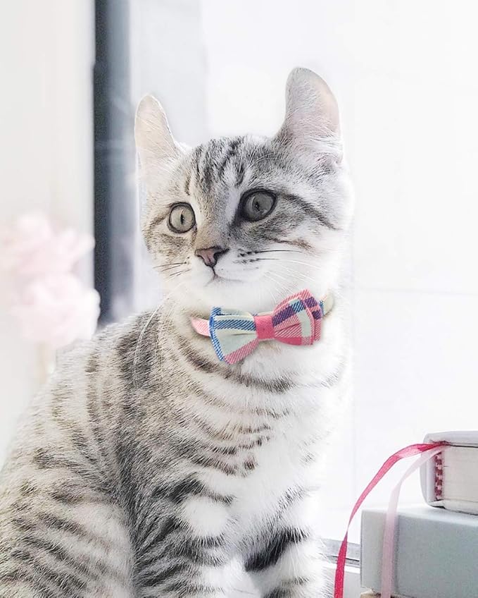 Joytale Upgraded Cat Collar with Bells, Breakaway Cat Collars with Bow Tie, 2 Pack Girl Boy Safety Plaid Kitten Collars, Pink+Red