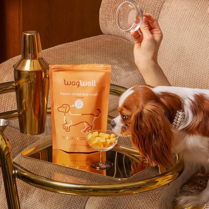 WagWell Freeze Dried Cheese Dog Treats - Grain-Free, High-Protein Pasteurized Dog Treats Made in The USA - Human-Grade, Minimally Processed & Preservatives Free - Pack of 2