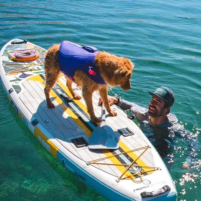 Ruffwear, Float Coat Dog Life Jacket, Premium Buoyancy Swim Vest with Lift Handle, Secure Fit & Reflective Trim, Adjustable Flotation for Swimming, Boating, & Outdoor Adventures, Purple Lily, Large