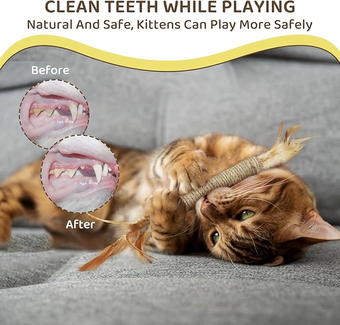 Catnip for Cats,Interactive Silvervine Sticks for Cats, Loofah Chew Cat Toys for Indoor Cats & Kitten Teething Toys & Cat Chew Toy,6 Pack