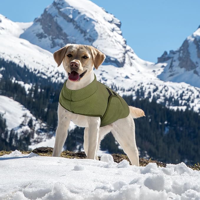 Queenmore XXL Dog Sweater, Soft Fleece Vest Pullover Dog Jacket with Leash Hole, Warm Winter Dogs Clothes Cold Weather Doggy Dachshund Sweaters for Large Dogs Cats Boy or Girl (Army Green, XXL)