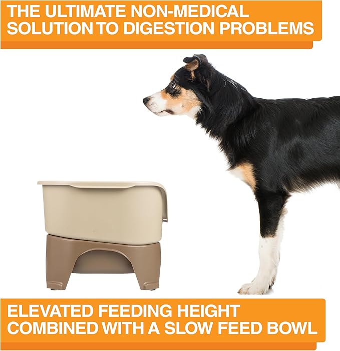 Neater Feeder - Express Model w/Slow Feed Bowl - Mess-Proof Dog Bowls (M/L, Cappuccino) Made in USA –Elevated, No Spill, Non-Tip, Non-Slip, Raised Stainless Steel Food/Water Pet Bowls Aid Digestion