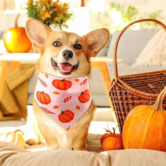 Preboun 200 Pcs Fall Pumpkin Dog Bandanas Bulk Maple Leaves Bandanas for Dogs Pets Triangle Kerchief Bibs Scarf for Thanksgiving Costume Photo Props Accessories Pet Shops Adoption Events, 25 Styles