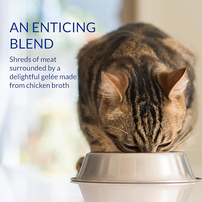 INABA Churu Stew for Cats, Creamy Broth Gelée with Shredded Chicken Topper/Treat Pouch with Vitamin E, 1.4 Ounces per Pouch, 12 Pouches, Chicken Recipe