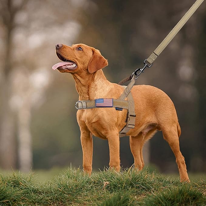 Annchwool No Pull Dog Harness with Padded Handle+5 Ft Leash,Reflective Strip Escape Proof and Quick Fit to Adjust Dog Harness,Easy for Training Walking for Small & Medium and Large Dogs(Brown-Set,XL)