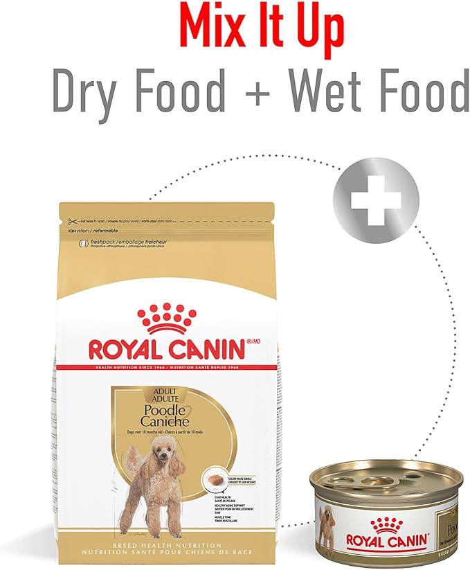 Royal Canin Breed Health Nutrition Poodle Adult Dry Dog Food, 10 lb Bag