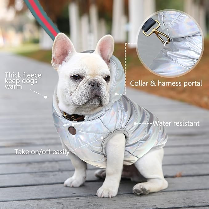 Fleece Hoodie, Windproof Waterproof Coat, Winter Warm Jacket, Cold Weather Pet Apparel Clothes Vest for Small Medium Large Dogs (M, Silver)