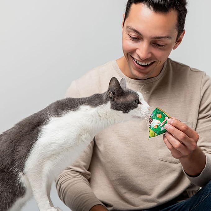 INABA Churu Fun Bites for Cats, Soft & Chewy Cat Treats with Taurine, 0.42 Ounces Each Tetra, 18 Tetras (3 per Bag), Chicken Recipe