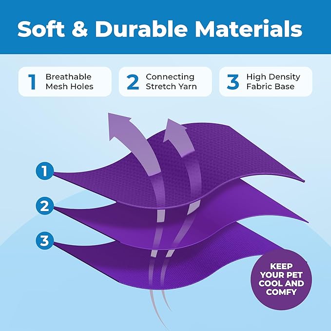 Voyager Escape Proof Cat Harness and Leash Set with Reflective Stitching, Neoprene Handle 5ft - Supports Small, Medium and Large Cats, Kittens for Walking by Best Pet Supplies - Purple, XS