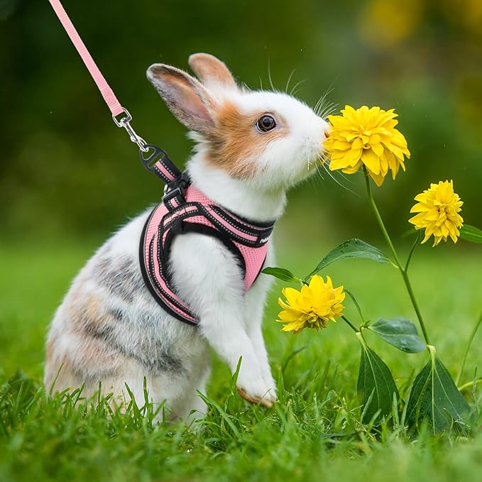 rabbitgoo Cat Harness and Leash Set for Walking Escape Proof, Adjustable Soft Kittens Vest with Reflective Strip for Cats, Comfortable Outdoor Vest, Pink, S