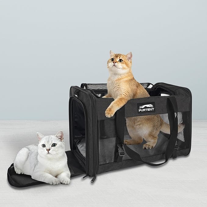 Soft-Sided Large Cat Carrier for 2 Cats, Spacious Foldable Pet Travel Carrier for Large Cats up to 25 Lbs, Double Cat Bag with Shoulder Strap, 20x13x13 Inch, Fits Maine Coon and Small Dogs, Black