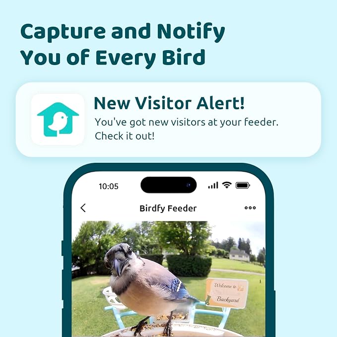 NETVUE by Birdfy Smart Bird Feeder with AI Camera Solar Powered, 2MP Wireless Wildbird Watching, Live Stream & Night Vision, Auto-Capture & Notify, Collection & Cloud Storage (AI by Subscription)