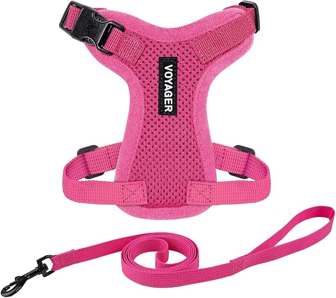 Voyager Step-in Lock Adjustable Cat Harness w. Cat Leash Combo Set with Neoprene Handle 5ft - Supports Small, Medium and Large Breed Cats by Best Pet Supplies - Fuchsia, XXXS