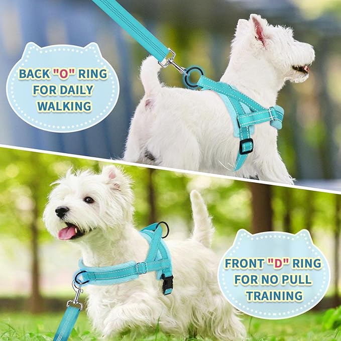 SlowTon No Pull Small Dog Harness and Leash Set, Puppy Soft Vest Harness Neck & Chest Adjustable, Reflective Lightweight Harness & Anti-Twist Pet Lead Combo for Small Medium Dogs(BL-Front Clip,S)