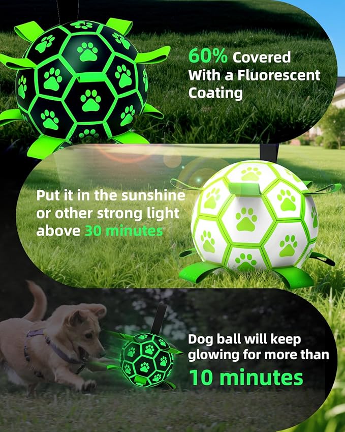 QDAN Premium Glow in The Dark Dog Toys, Dog Ball with Straps, Soccer Ball for Dogs, Outdoor Dog Toys, Pet Birthday Toys, Puppy Essentials for Small to Medium (6Inch)