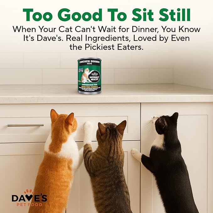 Dave's Pet Food Grain Free Wet Canned Cat Food Pate(Chicken), Made in USA Naturally Healthy, Wheat & Gluten-Free, 12.5 oz Cans (12 Pack)
