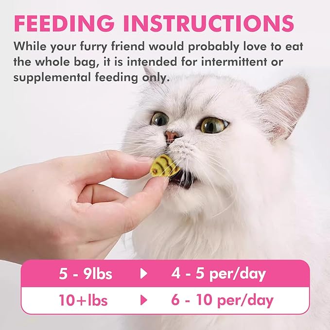 Catnip Cat Treats, Chicken and Salmon Flavor Snacks, Training Crunchy Fish Shape Adult Cat Biscuits, 30 oz