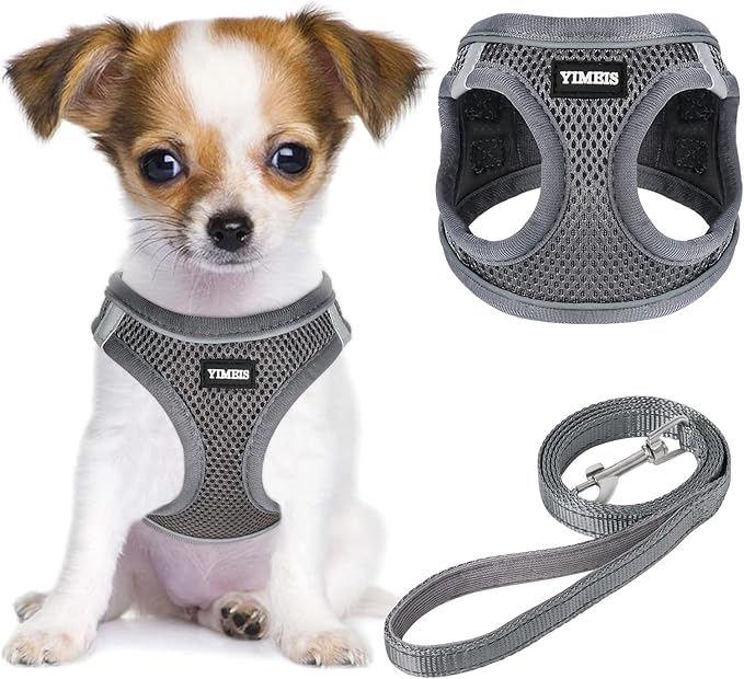 YIMEIS Dog Harness and Leash Set, No Pull Soft Mesh Pet Harness, Reflective Adjustable Puppy Vest for Small Medium Large Dogs, Cats (Gray, X-Small (Pack of 1)