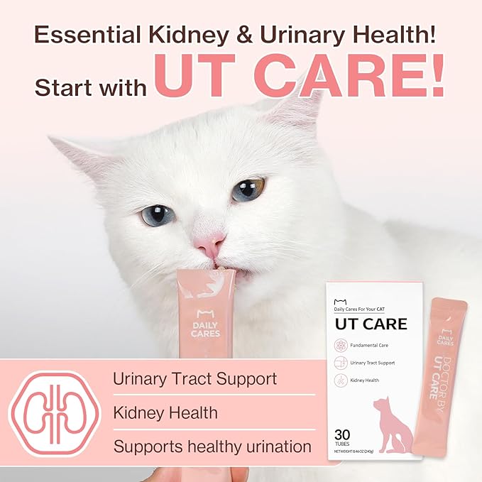 Doctor By UT Care Cat UTI Kidney Support Urinary Supplement Cranberry Treatment for Cats Renal Health with Pacran, Quercetin, Taurine lickable Formula Individually Packaged (1 Pack)