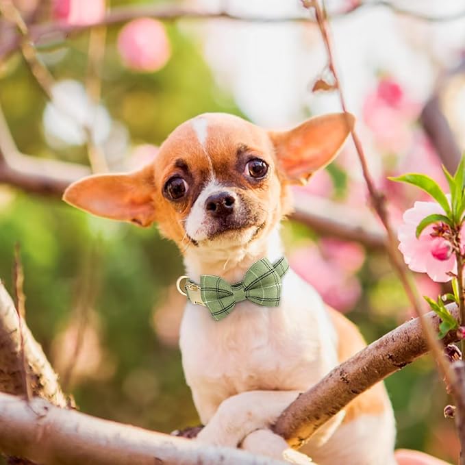 Beirui Cute Extra Small Dog Harness Collar and Leash Set with Bowtie, Soft Adjustable Plaid Puppy Harness for Small Sized Dogs Cats Walks Parties and Photoshoots(Green,XXS:Chest 12-14")