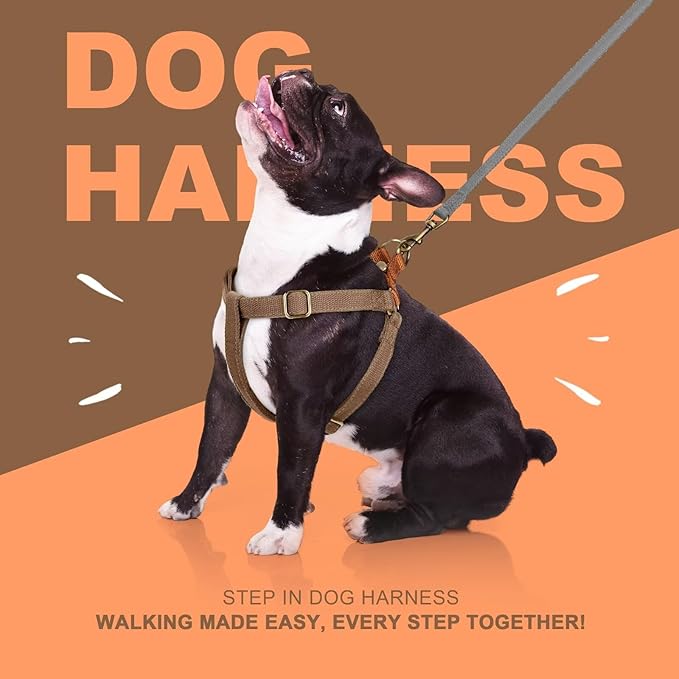 Didog Step in Dog Harness with Metal Buckles, Freedom Nylon Dog Halter Vests for Small Dogs Easy Walking Training(S:Chest 13-22", Brown)