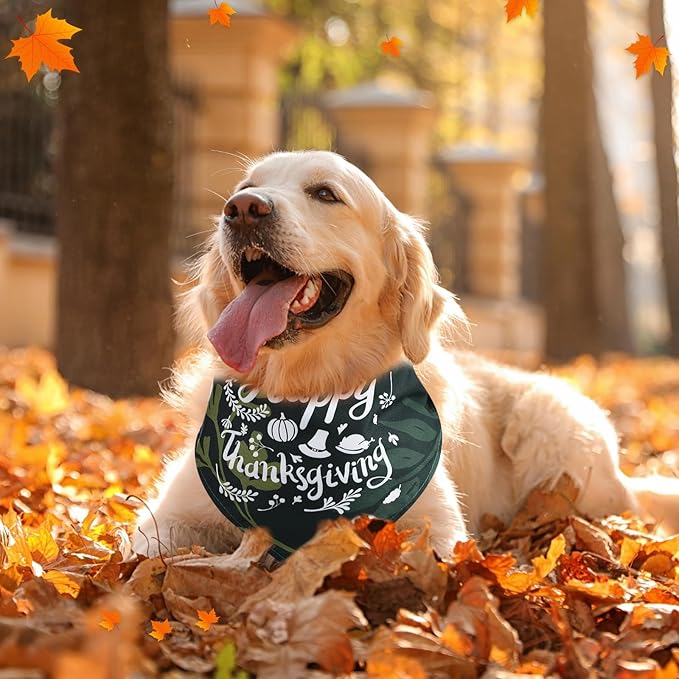 Sanwuta 120 Pcs Fall Dog Bandanas Bulk Pumpkin Maple Leaves Scarfs Autumn Thanksgiving Dog Pet Bibs Adjustable Triangle Kerchief Costume Accessories for Small Medium Large Pets Grooming Supplies