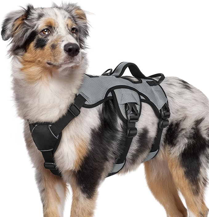 rabbitgoo Escape Proof Dog Harness, Soft Padded Full Body Pet Harness, Reflective Adjustable No Pull Vest with Lift Handle and Leash Clip for Large Dogs Walking Hiking Training, M, Grey