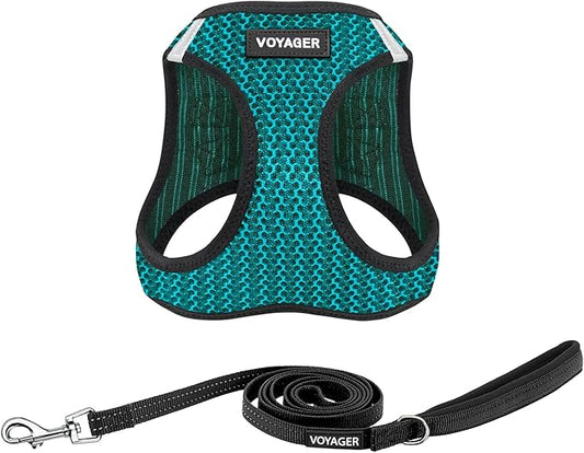 Voyager Step-in Air All Weather Mesh Harness and Reflective Dog 5 ft Leash Combo with Neoprene Handle, for Small, Medium and Large Breed Puppies by Best Pet Supplies - Turquoise (2-Tone), XS