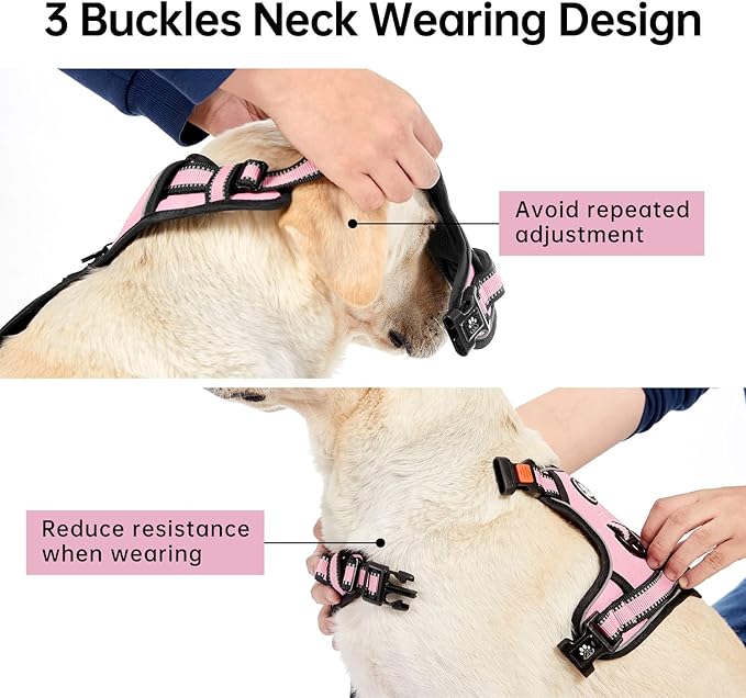 IVY&LANE No Pull Dog Harness for Medium Dogs, Dog Vest Harness with Leash, Safety Belt and Storage Strap, Fully Adjustable Harness, 360° Reflective Strip, Soft Handle (Pink, M)