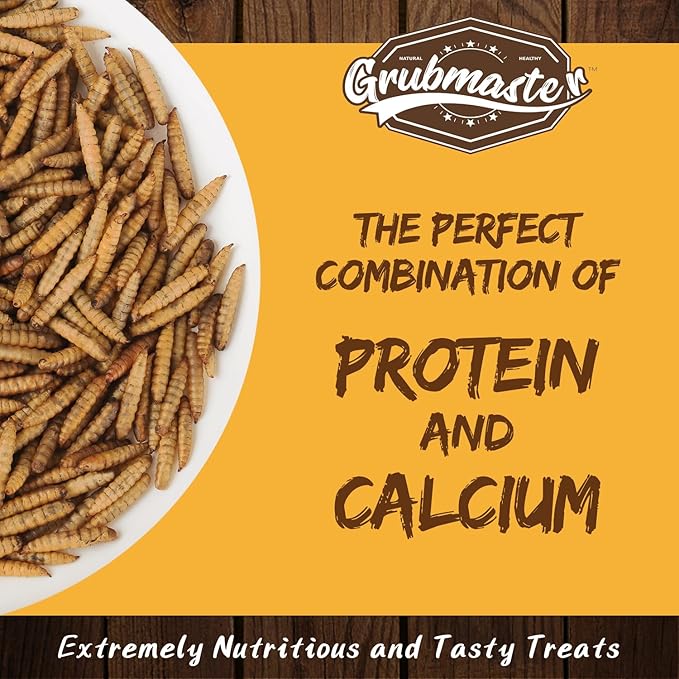 Dried Black Soldier Fly Larvae for Chickens, Natural Healthy Chicken Treats for Backyard Poultry - 5 lb. Bag