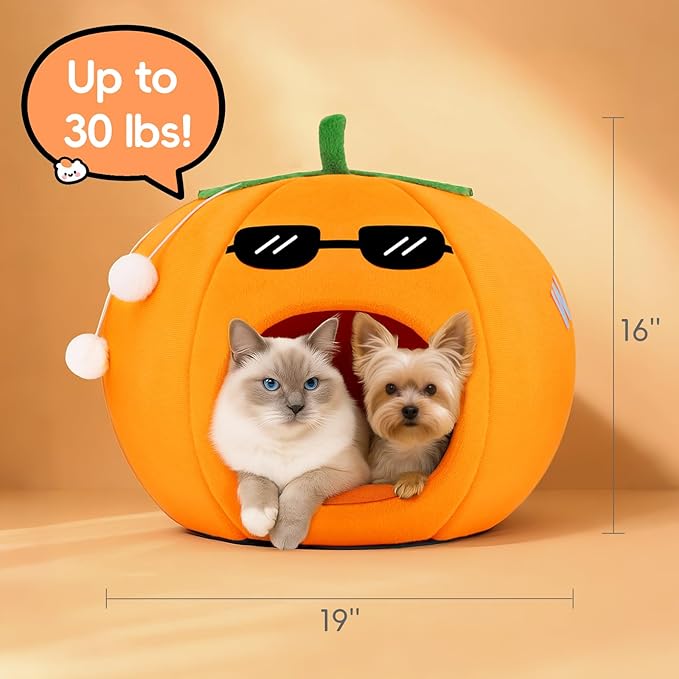Cute Cat Beds for Indoor Cats, Small Dog Beds, Soft Washable Pet Beds for Kitten and Puppy, Funny Orange Cat Cave, 19 Inches