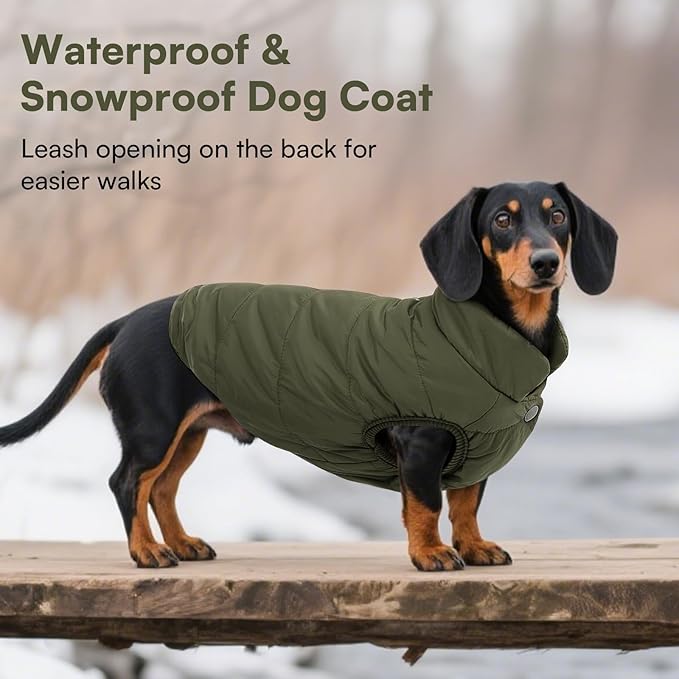 ASENKU Windproof Dog Winter Coat Waterproof Fleece Jacket Cold Weather Pet Apparel for Small Medium Large Dogs (ArmyGreen, 3XL)