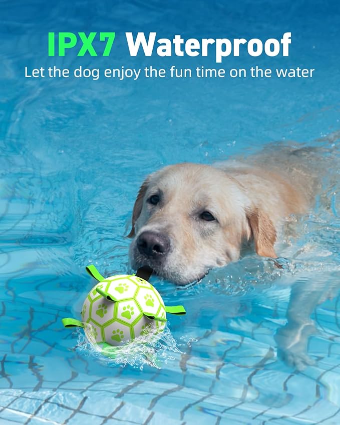 QDAN Premium Glow in The Dark Dog Toys, Dog Ball with Straps, Soccer Ball for Dogs, Outdoor Dog Toys, Pet Birthday Toys, Puppy Essentials for Small to Medium (6Inch)