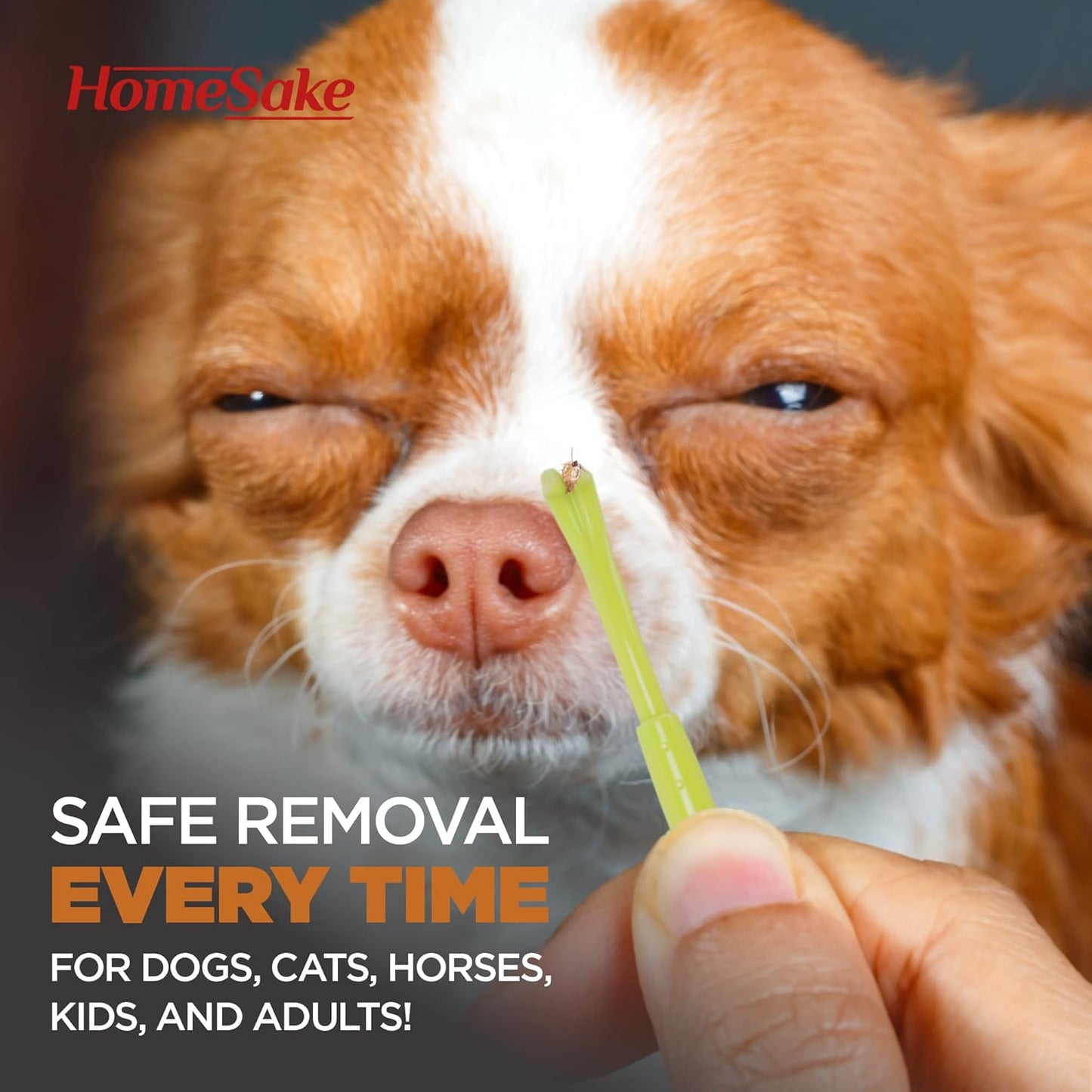 Homesake Tick Removal Tool for Dogs, Cats and Humans | Removes Entire Head & Body | Pain-Free Ticks Remover | 100% Chemical-Free | 2 Packs of 3