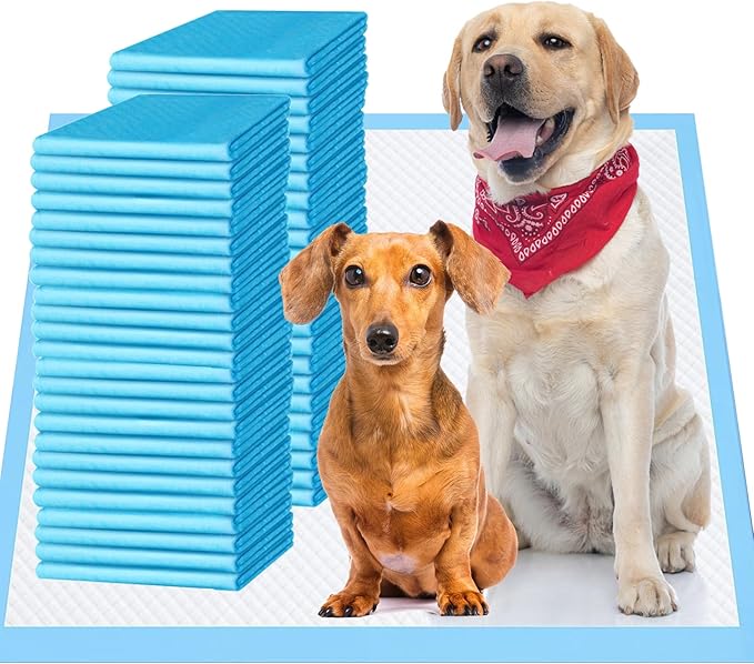 Upgrade Leak-Proof Pet Training and Puppy Pads, Jumbo Pee Pads for Dogs with Thicken Polymer Heavy Absorbency, Quick Dry Disposable Pee Pads for Cats Dogs - 100 Counts